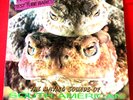 Peter And The Test Tube Babies Mating Sounds Of South American Frogs LP UK VINYL