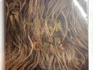 Super Furry Animals - SFA At The BBC * 4 Vinyl Lp Ltd * STR044LP * Free P&P UK *