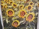 Sunnyboys-Individuals-White Label Test/First Pressing-Never Played.