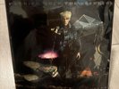 Patrick Wolf - The Bachelor (Vinyl, 2009) Nylon