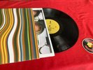 The Babe Rainbow - Self Titled (2017) USED Psych Rock/Funk LP Piranha Records