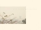Wild Nothing - Golden Haze - Golden Haze [New Vinyl LP] Colored Vinyl, Gold
