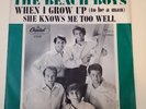 Beach Boys WHEN I GROW UP TO BE A MAN (GREAT ROCK N ROLL 45/PS) #5245 PLAYS VG++