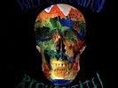 Bill Callahan - Resuscitate  (Vinyl 2LP - 2024 - US - Original)