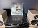 Skunk Anansie Paranoid & Sunburnt DMM 200gm Vinyl Record LP 45rpm 2008 Ex/Ex