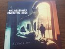 Noel Gallagher's High Flying Birds If I Had A Gun... 7