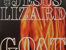 The Jesus Lizard Goat (Vinyl LP) 12