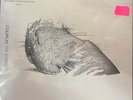 Coldplay - The Scientist 2002 UK & Europe Single NM