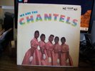 THE CHANTELS -- We Are THE CHANTELS (THE SCARCE 1st COVER Release) END-LP-301