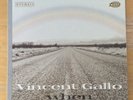VINCENT GALLO WHEN Vinyl 2001 1st WARP LP87 VERY RARE Cloth gatefold Nr Mint/ Ex