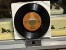 PLEASURE-JOYOUS/ PROMOTIONAL COPY/MONO-STEREO/1977/MINT-FANTASY LBL/PITMAN PRES