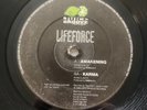 Life Force - Awakening / Karma 12” Electronic Progressive House