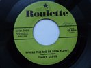 JIMMY LLOYD 45 'WHERE THE RIO DE ROSA FLOWS' USA ROULETTE 1957 ROCKABILLY VG+