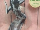 Kate Bush Vintage limited edition interview picture disc record w/ Acrylic Frame