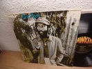 DESI ROOTS - DOING IT RIGHT LP MONSTER ROOTS / REGGAE UK LP 1980