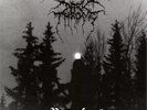 Darkthrone - Panzerfaust LP Vinyl SEALED