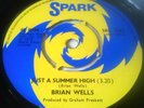 BRIAN WELLS - PAPER PARTY / JUST A SUMMER HIGH 7