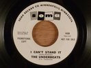 The Underbeats  I Can't Stand It/Shake It For Me Promo Garage 1966 Soma