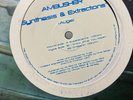 Ambusher – Synthesis & Extractions 12” 2000 House Company Sleeve VG+