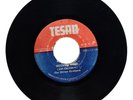 THE DIVINE BROTHERS - MINIMUM WAGE / VERSION [ TESAN ] 7