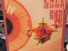 KATE BUSH U.K. IMPORT RECORD 