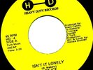 Sweet Soul - HOT ICE - Isn't It Lonely / Lady - Heavy Duty