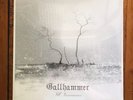Gallhammer I’ll Innocence Vinyl New Sealed Record Metal Japan RARE