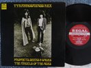 T. REX (Tyrannosaurus Rex) 