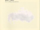 Built to Spill There's Nothing Wrong With Love (Vinyl) 12