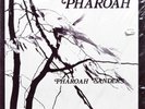 PHAROAH SANDERS Pharoah INDIA NAVIGATION IN 1027 US 1977 ORIGINAL SEALED Jazz