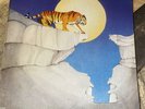 TYGERS Of PAN TANG vinyl MCA-5235 PROMO Spellbound