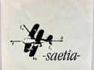 SAETIA 1997 s/t 7” Original Press Vinyl White Label Orchid Venus And Bacchus