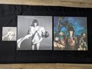 (2) Bat for Lashes Vinyl Records / Albums - Two Suns AND Haunted  Man