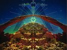 The Chris Robinson Brotherhood Big Moon Ritual - LP x 2 Vinyl Black Crowes