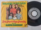 The Partridge Family/ David Cassidy - Walking in the rain 7'' Vinyl Germany