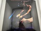 Sealed* Siouxsie And The Banshees The Scream 1979 Vinyl Lp PD 16207 Vintage