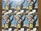LANA DEL REY NORMAN FUCKING ROCKWELL GREEN VINYL LP SEALED
