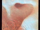 Pink Floyd - Meddle Mint Condition Cover + Mint Vinyl Original EMI UK Pressing
