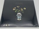 Billy Strings Renewal 2 LP 180 Gram Vinyl Black Folk Country Bluegrass Jam