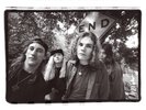 Smashing Pumpkins Rotten Apples (Greatest Hits) (Vinyl) 12