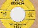 45RPM, RON & THE STARFIRES ' WHY DID YOU CRY 'VG TO VG+ RARE GARAGE ' 1960'S