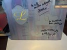 Lush Sear Lp Signed By Band First Pressing EX