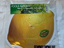 Fools Garden LEMON TREE Limited RSD 2024 New Lemon Shaped Vinyl Picture Disc 7