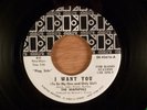 The Waphphle  I Want You (To Be My One And..)/Goin' Down Promo RARE Garage Psych