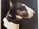 Pixies – Here Comes Your Man - Vinyl 12