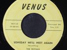 ROYALS: someday we'll meet again / i want you to be my baby VENUS 7