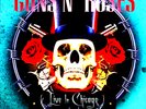 Guns N' Roses Live In Chicago EU Rosemont Horizon,, 1992 180g Vinyl OUT OF PRINT