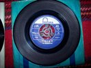the misunderstood- children of the sun- i unseen.. 1969 mono fontana 45  TF 998