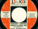 The Chiffons - Nobody Knows What's Goin' On (In My Mind But Me), 7