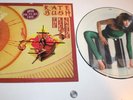 Rare KATE BUSH THE KICK INSIDE 1978 UK EMI LP Limited Edition PICTURE DISC HTF